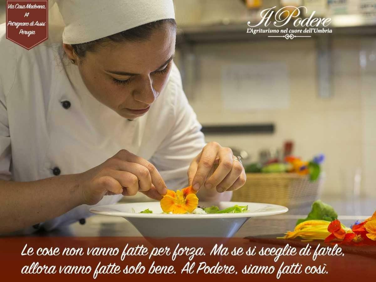 Agriturismo Il Podere Hotel Petrignano Zewnętrze zdjęcie