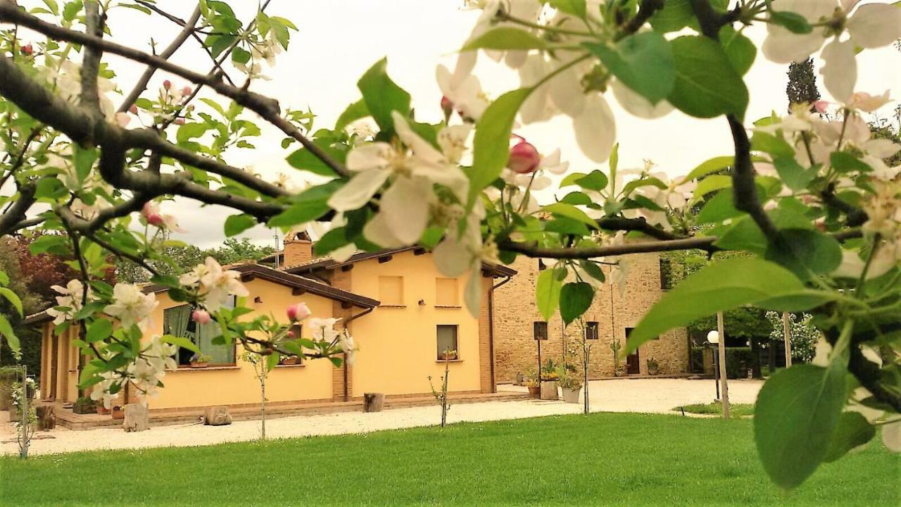 Agriturismo Il Podere Hotel Petrignano Zewnętrze zdjęcie