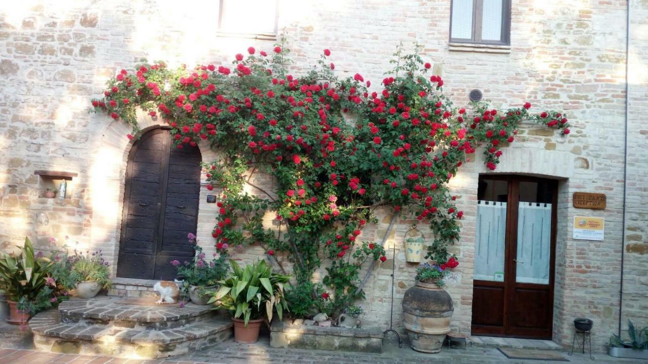 Agriturismo Il Podere Hotel Petrignano Zewnętrze zdjęcie