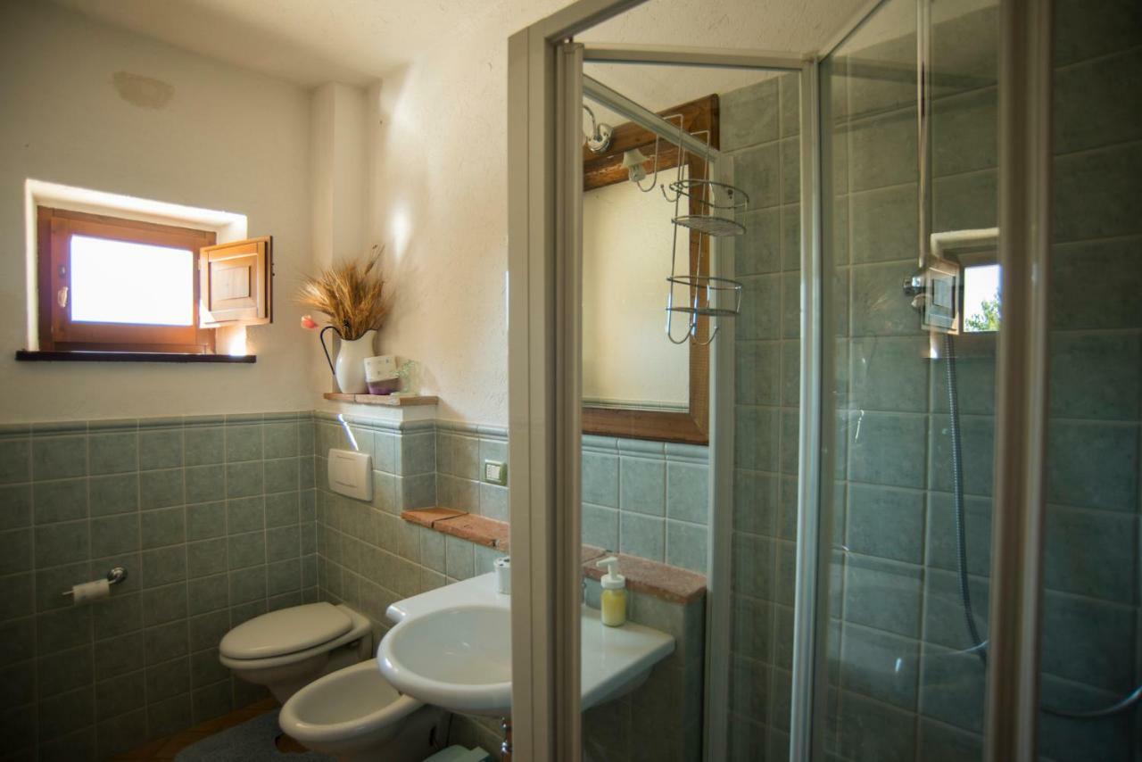 Agriturismo Il Podere Hotel Petrignano Zewnętrze zdjęcie
