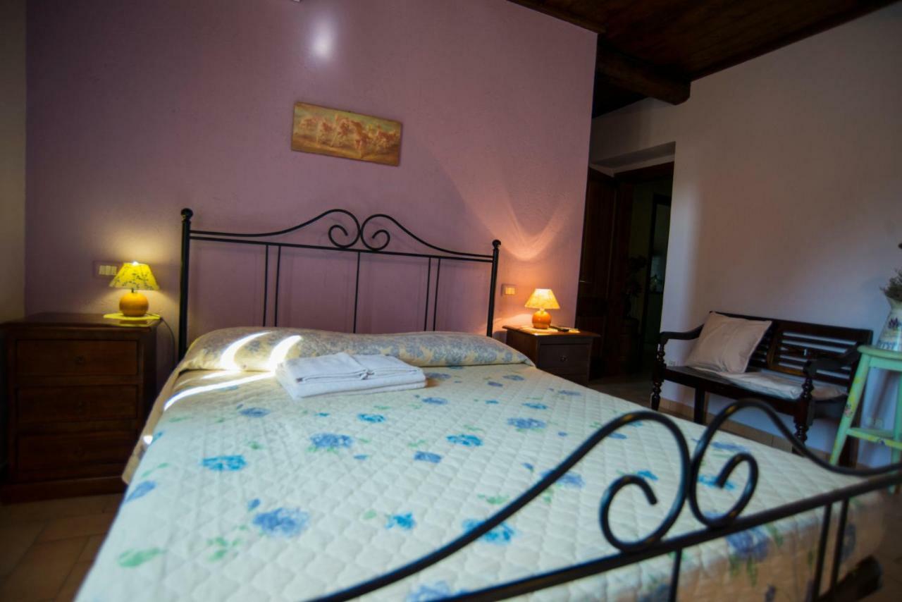 Agriturismo Il Podere Hotel Petrignano Zewnętrze zdjęcie